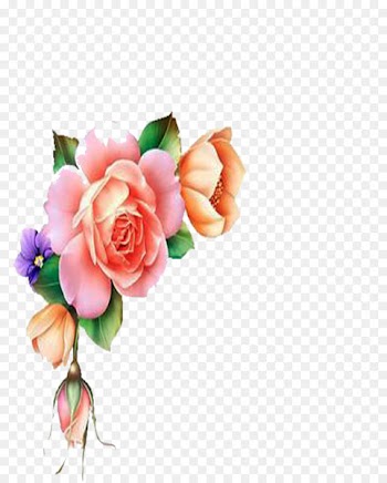 Garden roses Cut flowers Cabbage rose Floral design - esquineros watercolor 