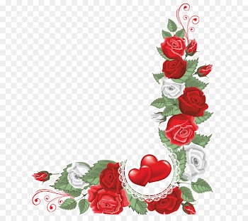 Garden roses Cut flowers Floral design Beach rose - flower 