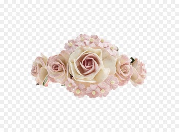 Garden roses Cut flowers Floral design Wedding Ceremony Supply - flower 