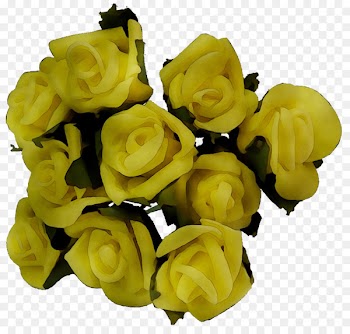 Garden roses Cut flowers Floristry Flower bouquet -  