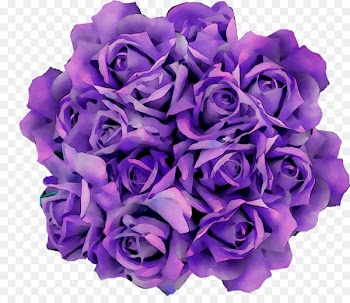 Garden roses Cut flowers Flower bouquet Petal -  