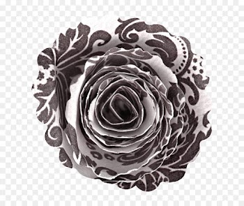 Garden Roses, Cut Flowers, Flower Bouquet, White, Rose PNG