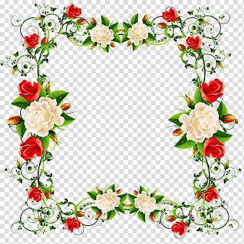 Garden roses Cut flowers White, rose transparent background PNG clipart