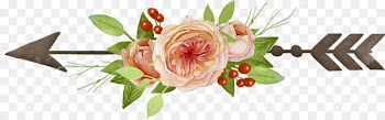 Garden roses Drawing Clip art - Arrow 
