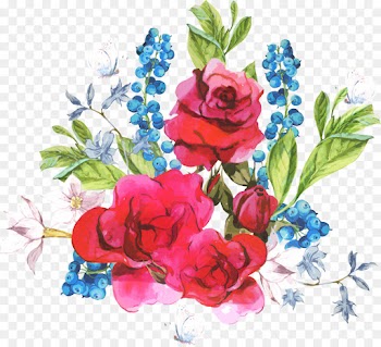 Garden Roses, Drawing, Watercolor Painting, Flower, Cut Flowers PNG