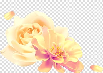 Garden roses Drawing Watercolor painting, painting transparent background PNG clipart
