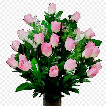 Garden roses Floral design Cut flowers -  
