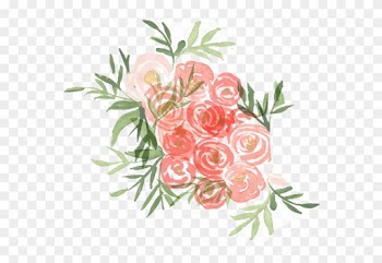 Garden Roses Floral Design Cut Flowers - Floribunda
