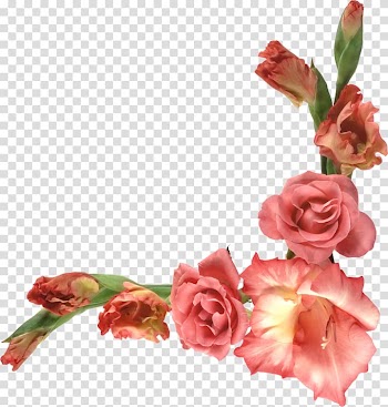 Garden roses Floral design Cut flowers Flower bouquet, flower transparent background PNG clipart