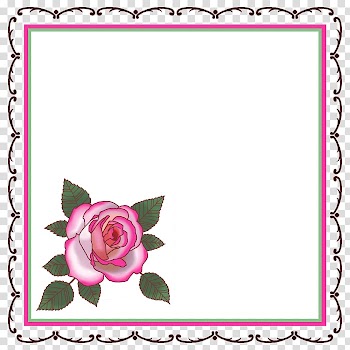 Garden roses Floral design Cut flowers, rose transparent background PNG clipart