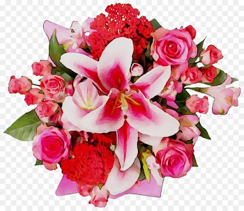 Garden Roses, Floral Design, Flower, Bouquet PNG