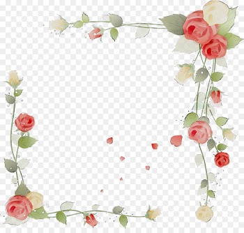 Garden roses Floral design Flower Illustration Petal -  