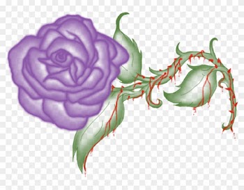 Garden Roses Floral Design Petal - Garden Roses