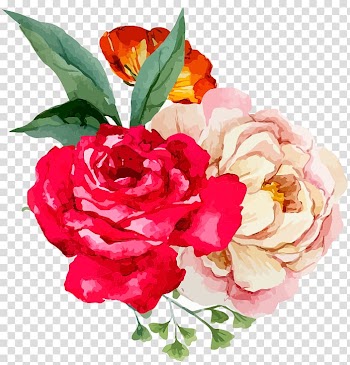 Garden roses Floral design Watercolor painting Flower, marriage proposal transparent background PNG clipart
