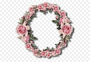 Garden Roses, Floral Design, Wreath, Pink, Rose PNG