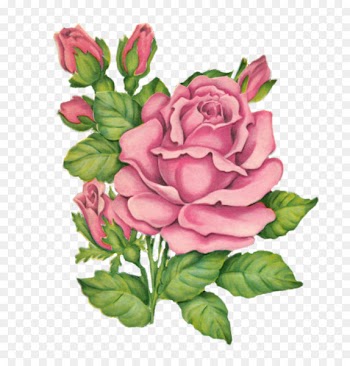 Garden roses Floribunda Cut flowers Image - flower 