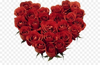 Garden roses Floribunda Floral design Cut flowers Flower bouquet - Heart of Roses Clipart 