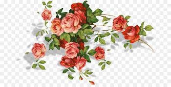 Garden roses Flower bouquet Birthday Floral design - decor 