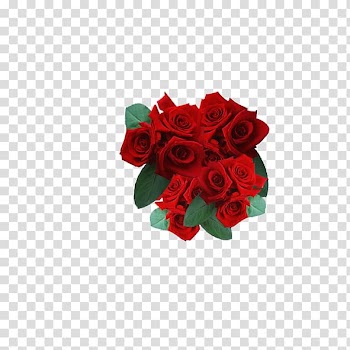 Garden roses Flower bouquet, Bouquets of roses transparent background PNG clipart