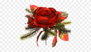 Garden Roses Flower Bouquet Cut Flowers Floral Design - Garden Roses
