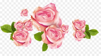Garden roses Flower bouquet Floral design Cabbage rose - tea gown paris 