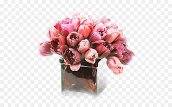 Garden Roses, Flower Bouquet, Floristry, Flower, Pink PNG
