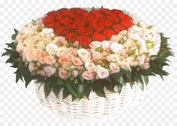 Garden Roses, Flower Bouquet, Flower, Bouquet PNG