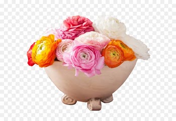 Garden roses Flower bouquet Flowerpot - Colorful European peony flower pots 