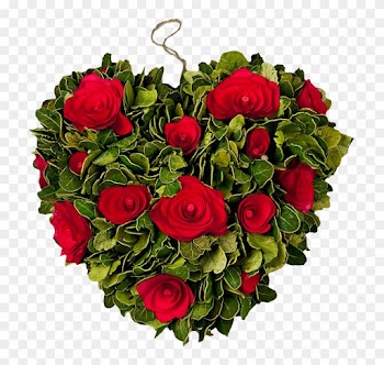 Garden Roses Flower Bouquet Netherlands - Garden Roses