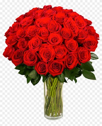 Garden Roses Flower Bouquet Wedding Cut Flowers - Just For You Flower