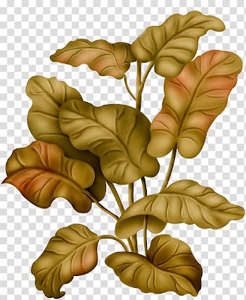 Garden roses Flower, others transparent background PNG clipart