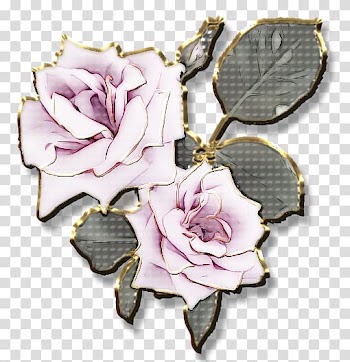 Garden roses Flower Petal Rose garden, rose transparent background PNG clipart