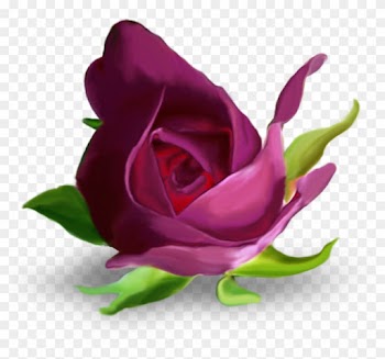 Garden Roses Flower Purple Letter Alphabet - Garden Roses Flower Purple Letter Alphabet