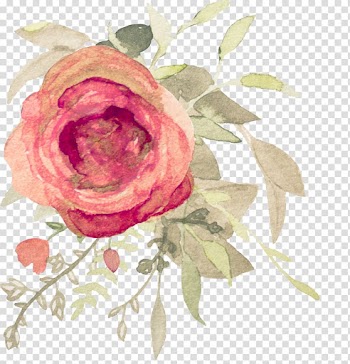 Garden roses Flower Watercolor painting Floral design, watercolor sky transparent background PNG clipart