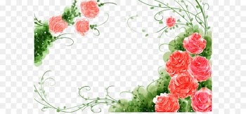 Garden roses Flower Watercolor painting Illustration - Watercolor flowers vine lace background 