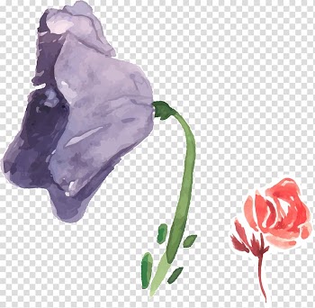 Garden roses Flower Watercolor painting Purple, Watercolor painted floral decoration transparent background PNG clipart