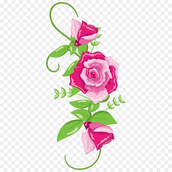Garden roses Flower Wedding Floral design - getting married 
