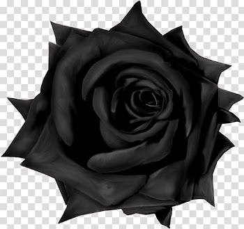 Garden roses Gothic Goths, gothic transparent background PNG clipart
