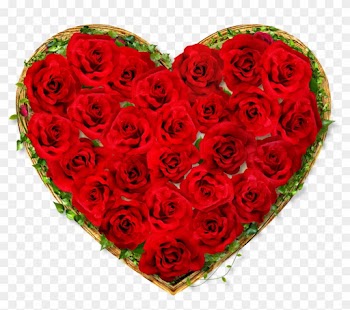 Garden Roses Heart Valentines Day Red - Rose