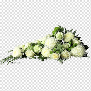 Garden roses Hotel Gudenå Floral design Cut flowers, rose transparent background PNG clipart