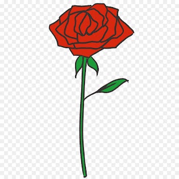 Garden roses Illustration Cut flowers Clip art - rose 