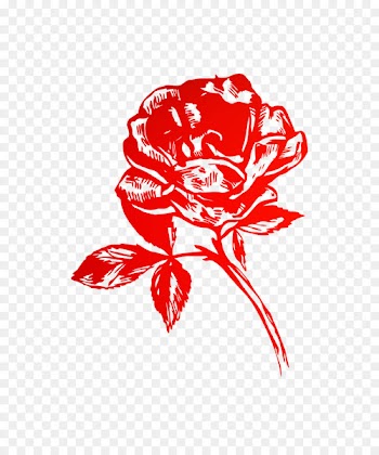 Garden roses Illustration Floral design Cut flowers Clip art -  