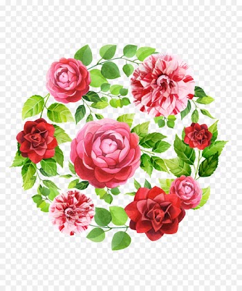 Garden roses Image Portable Network Graphics Flower - oss watercolor 