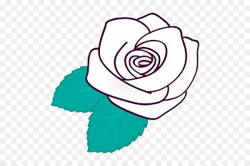 Garden roses Instagram Floral design Cut flowers -  