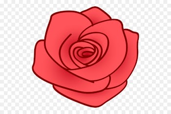 Garden roses Instagram Photograph Valentine's Day Petal -  