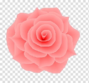 Garden roses Light Flower Centifolia roses Pink, light transparent background PNG clipart