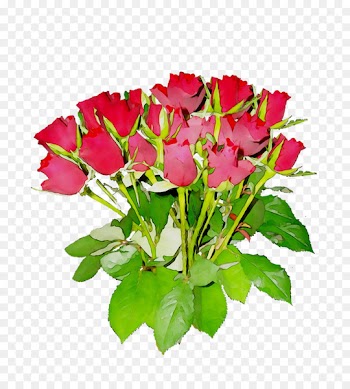 Garden roses Nosegay Cut flowers Image -  