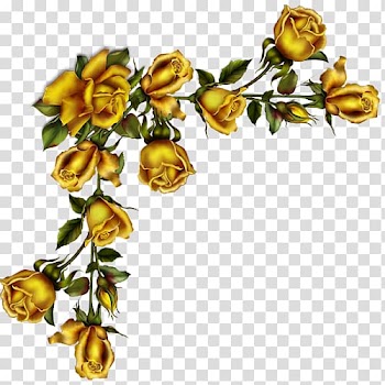 Garden roses Paper , others transparent background PNG clipart
