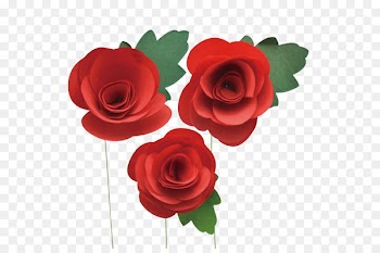 Garden roses Paper Petal Wedding dress Flower - flower 