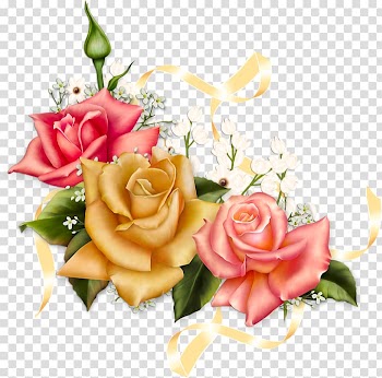 Garden roses Pink Frames, rose transparent background PNG clipart